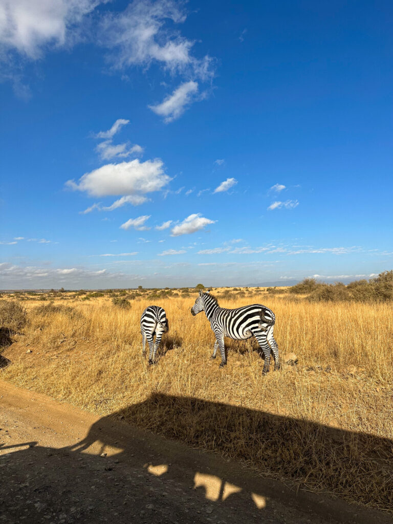 Travel Guide to Exploring Nairobi